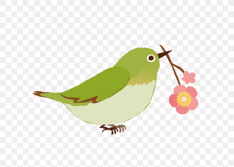 Japanese White-eye Mejiro Clip Art, PNG, 972x694px, Japanese Whiteeye, Beak, Bird, Fauna, Feather Download Free