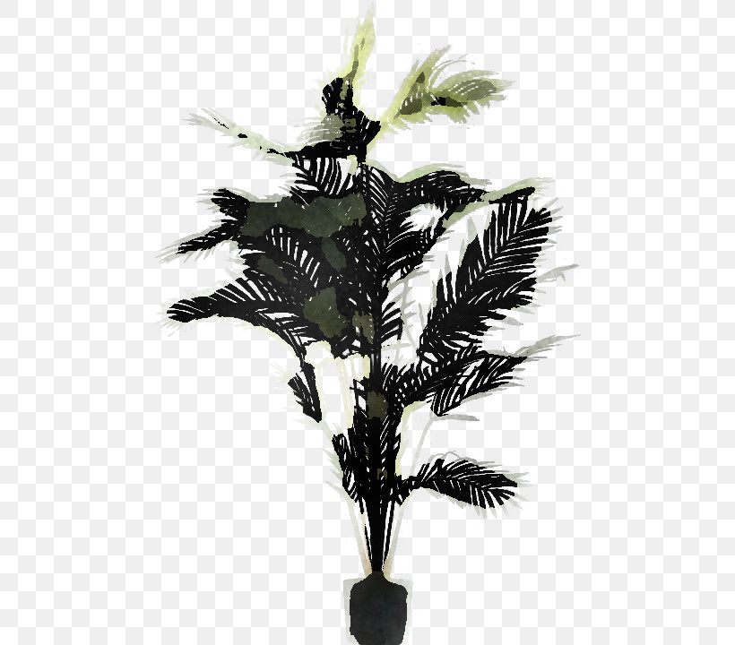 Palm Tree, PNG, 720x720px, Leaf, Arecales, Artificial Flower, Branch, Feather Download Free