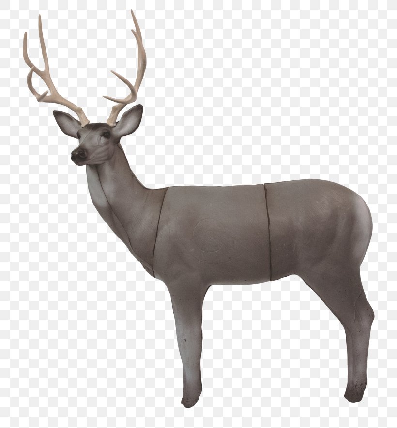 Reindeer Elk Archery White-tailed Deer R & W Targets, PNG, 768x883px, Reindeer, Animal, Antler, Archery, Deer Download Free