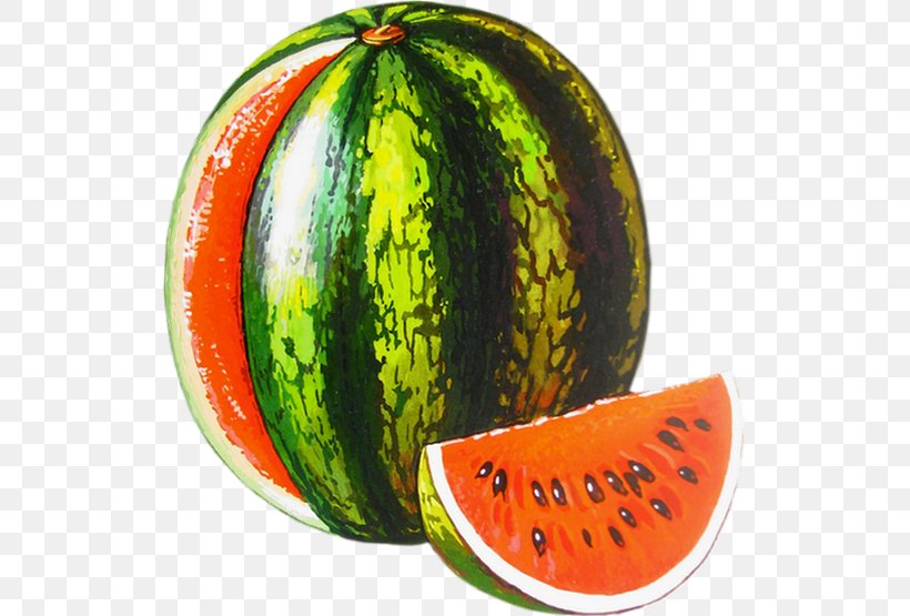 Watermelon Clip Art, PNG, 525x555px, Watermelon, Archive File, Citrullus, Cucumber Gourd And Melon Family, Diet Food Download Free