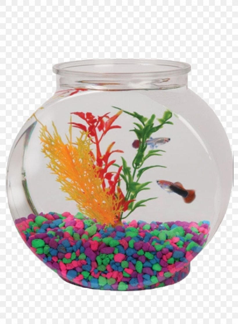 Aquarium Gallon Bowl Fish Plastic, PNG, 1135x1550px, Aquarium, Aquarium Decor, Aquariums, Bowl, Drum Download Free