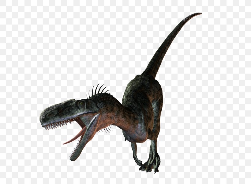 Velociraptor Dinosaur Tyrannosaurus PhotoScape Clip Art, PNG, 800x600px, Velociraptor, Animal, Dinosaur, Fauna, Gimp Download Free