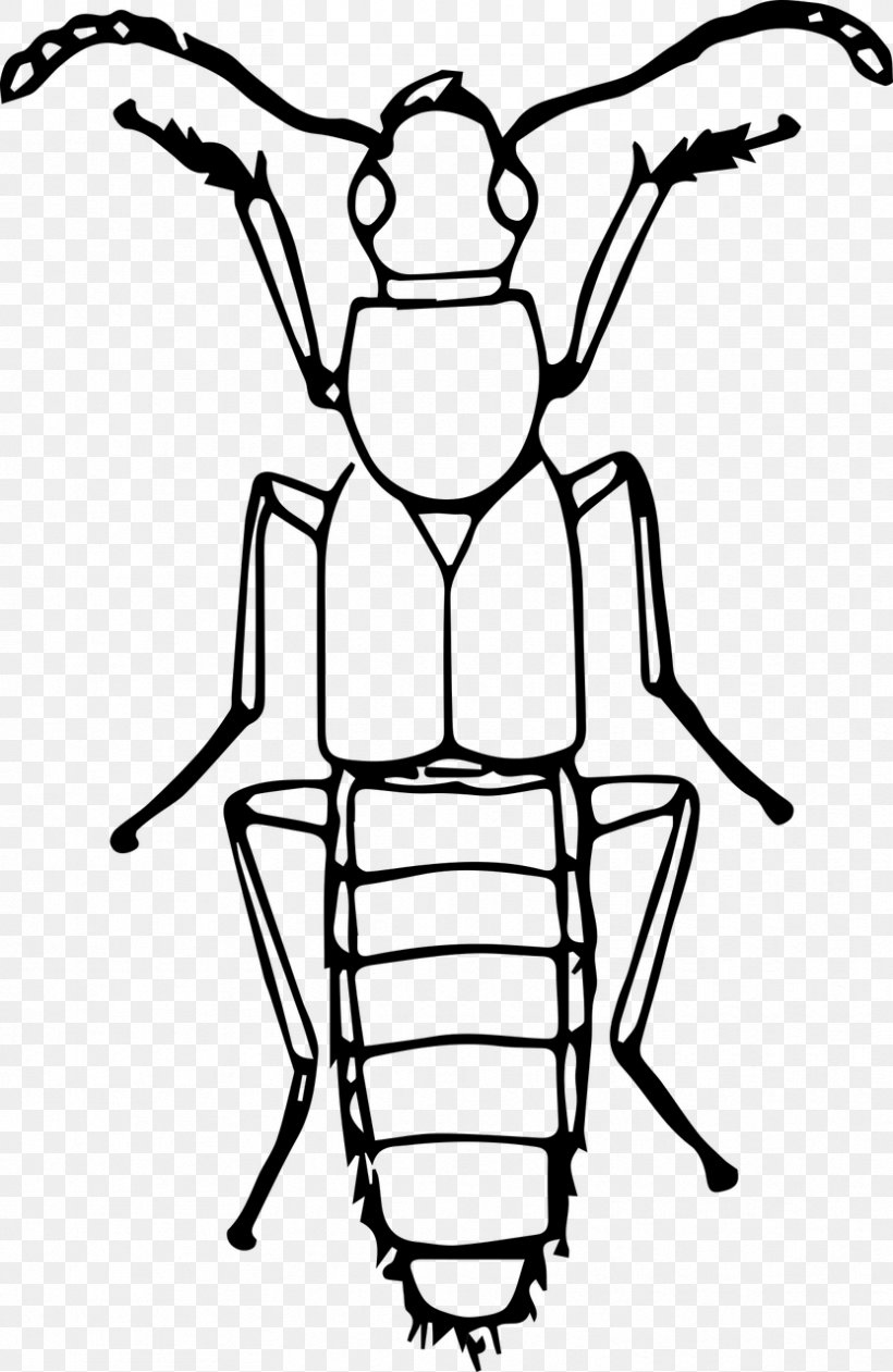 Volkswagen Beetle Insect Line Art Clip Art, PNG, 832x1280px, Volkswagen Beetle, Animal, Artwork, Black And White, Drawing Download Free