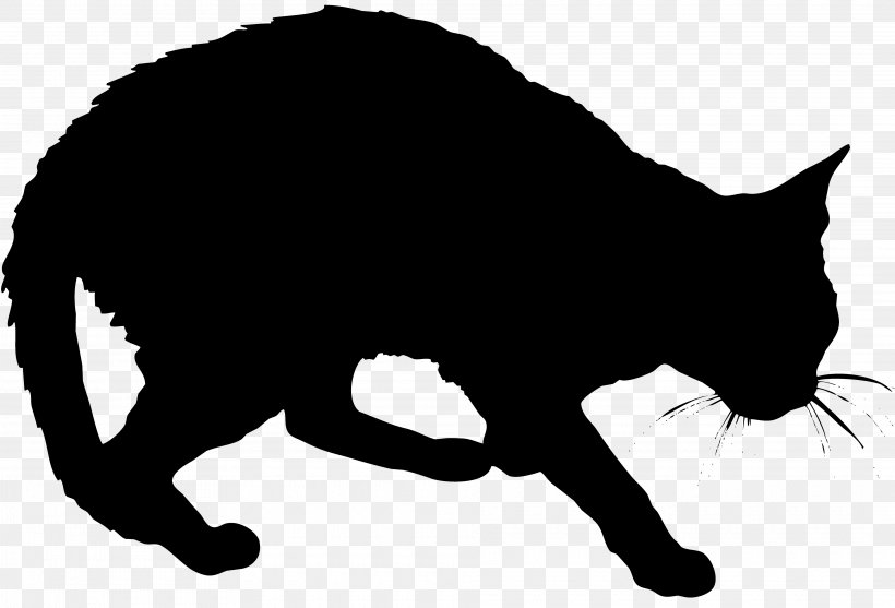Black Cat Kitten Whiskers Domestic Short-haired Cat Wildcat, PNG, 3840x2609px, Black Cat, Black, Black And White, Carnivoran, Cat Download Free