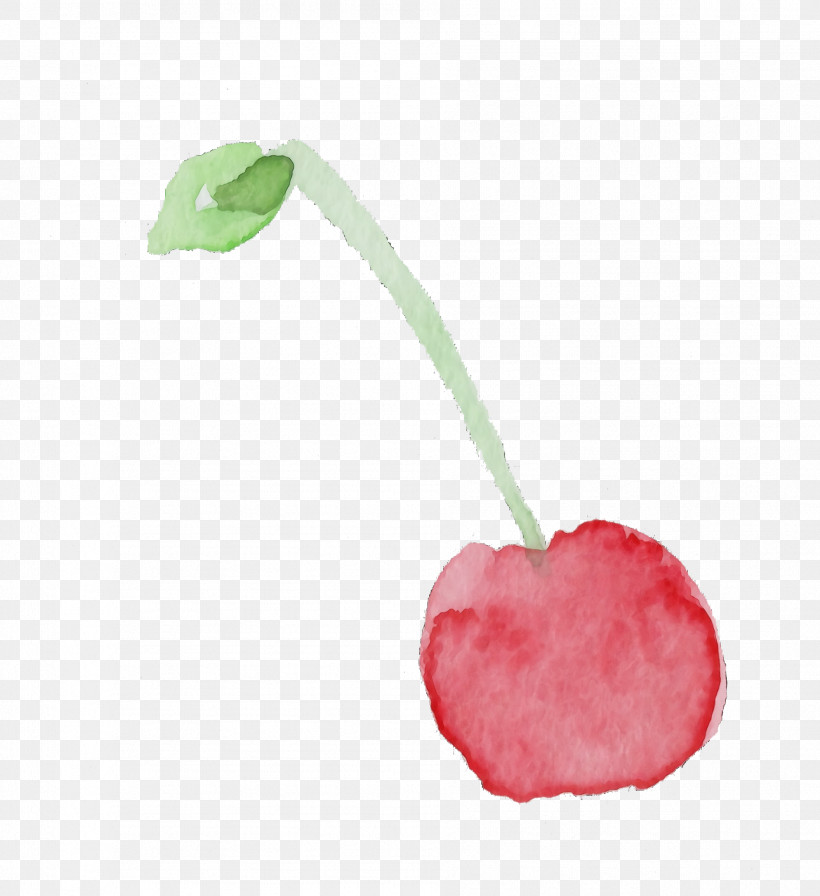 Cherry Pink Plant Fruit Flower, PNG, 1888x2064px, Watercolor Cherry, Cherry, Drupe, Flower, Food Download Free