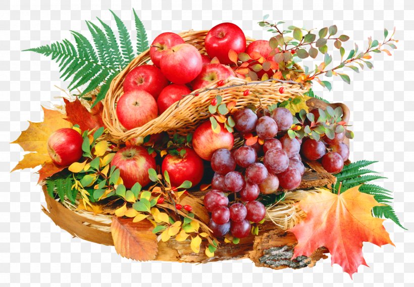 Food Dehydrators Vegetarian Cuisine Apple Fruit, PNG, 1600x1110px, Food Dehydrators, Apple, Berry, Cranberry, Diet Food Download Free