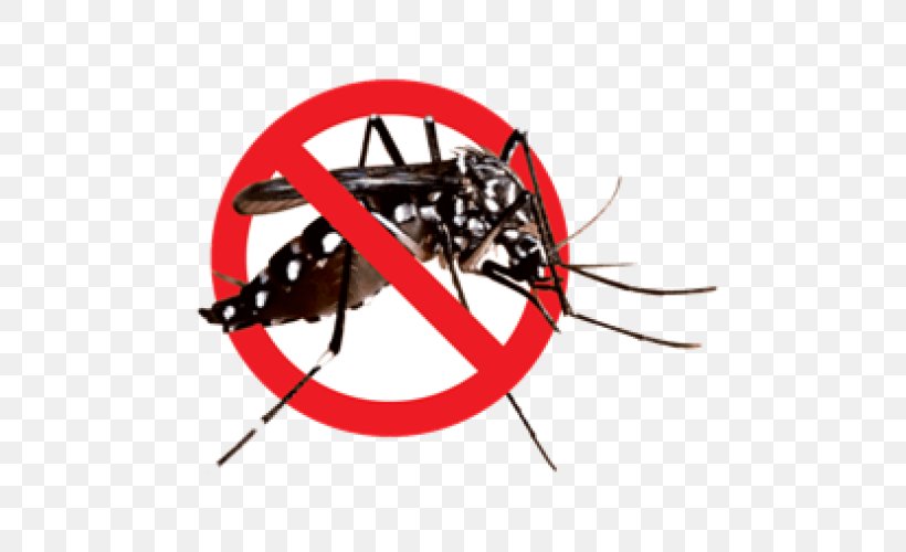 Mosquito Control Household Insect Repellents Bug Zapper, PNG, 500x500px, Mosquito, Arthropod, Bug Zapper, Car, Dengue Download Free