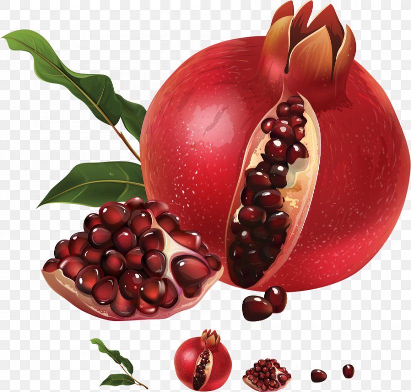 Pomegranate Juice Illustration, PNG, 896x857px, Juice, Berry, Cartoon, Cranberry, Diet Food Download Free