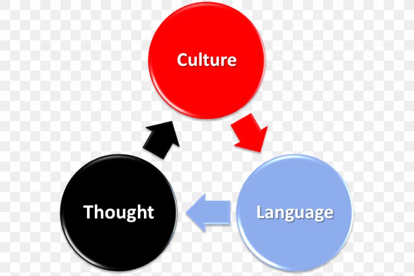 Psychology Cultural Critic Thought And Language Culture Sociocultural Perspective, PNG, 1030x688px, Psychology, Brand, Cognitive Development, Communication, Cultural Critic Download Free
