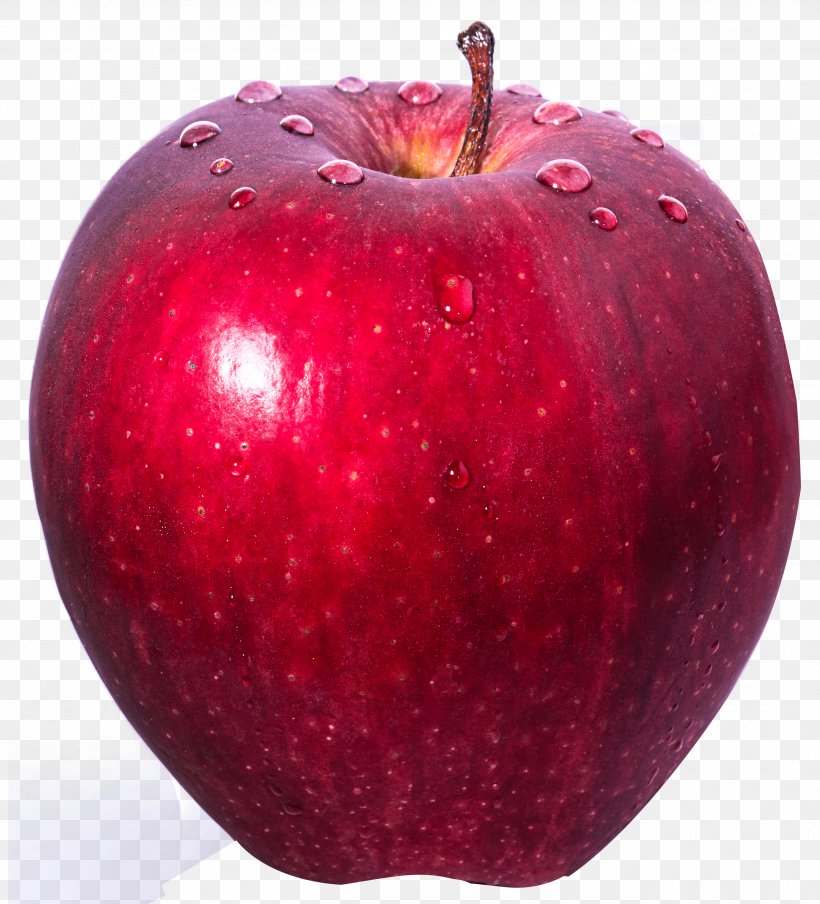 Apple Accessory Fruit Food, PNG, 2627x2898px, Apple, Accessory Fruit, Food, Fruit, Information Download Free