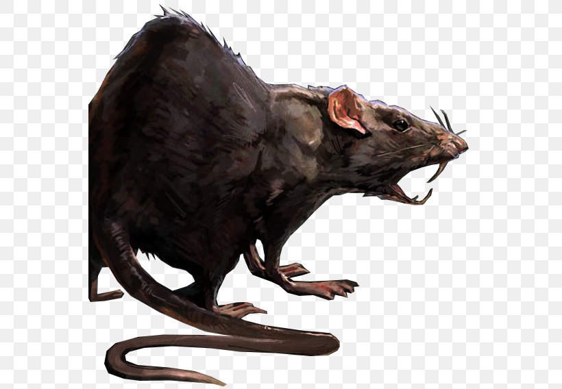Dishonored 2 Laboratory Rat Mouse, PNG, 561x568px, Dishonored, Animal, Dishonored 2, Fauna, Household Insect Repellents Download Free