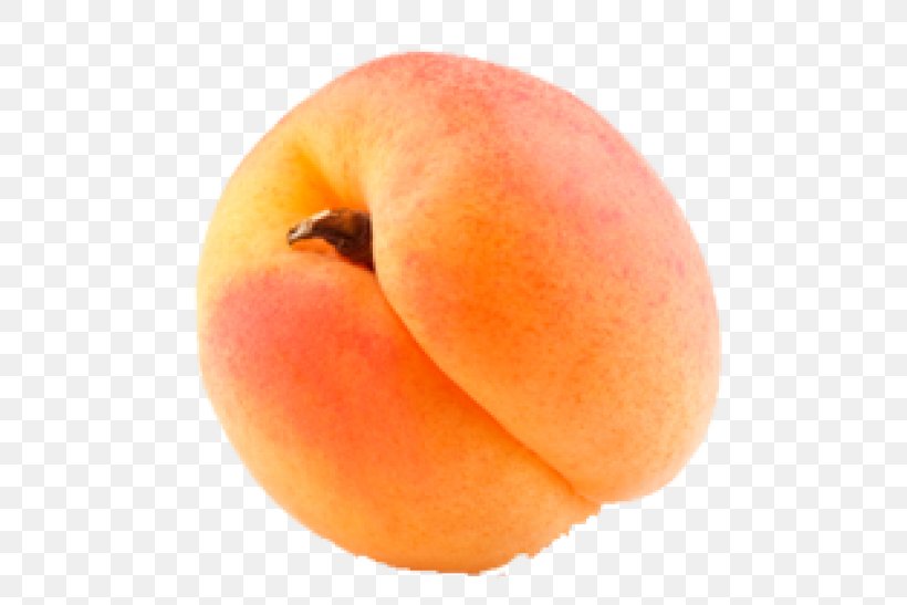 Peach Clementine Mandarin Orange Fruit Armenian Plum, PNG, 600x547px, Peach, Apricot, Apricot Kernel, Armenian Plum, Citrus Download Free