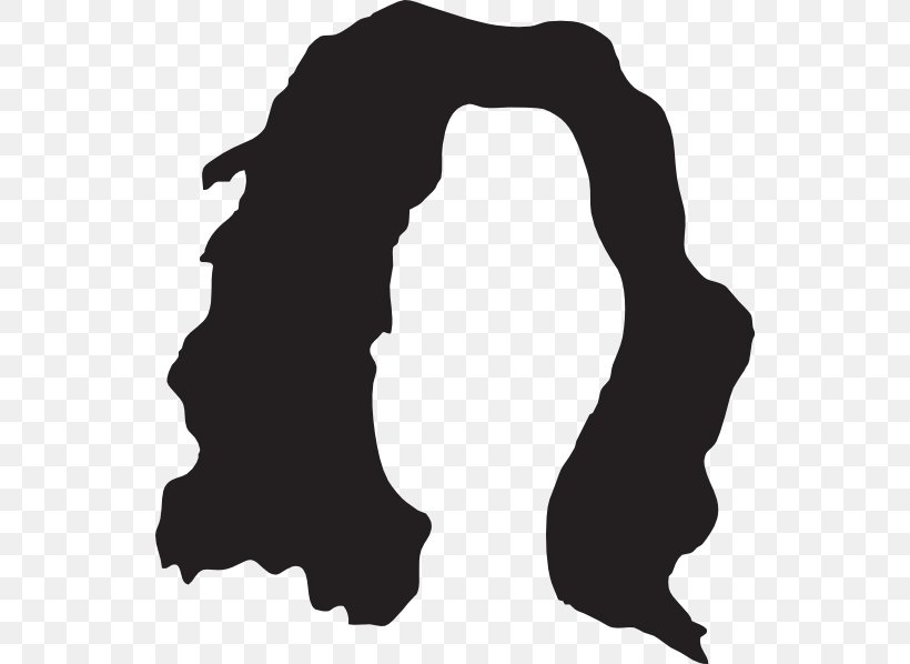Black Hair Brown Hair Clip Art, PNG, 540x598px, Hair, Afrotextured Hair, Black And White, Black Hair, Blond Download Free