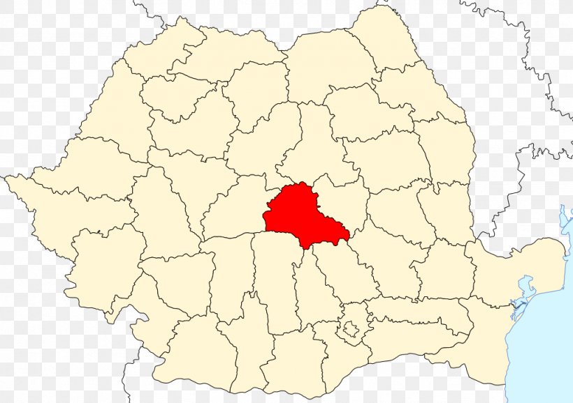Bucharest Ilfov County Sibiu Nord-Est Region, PNG, 1024x722px, Bucharest, Area, Europe, Flower, Ilfov County Download Free