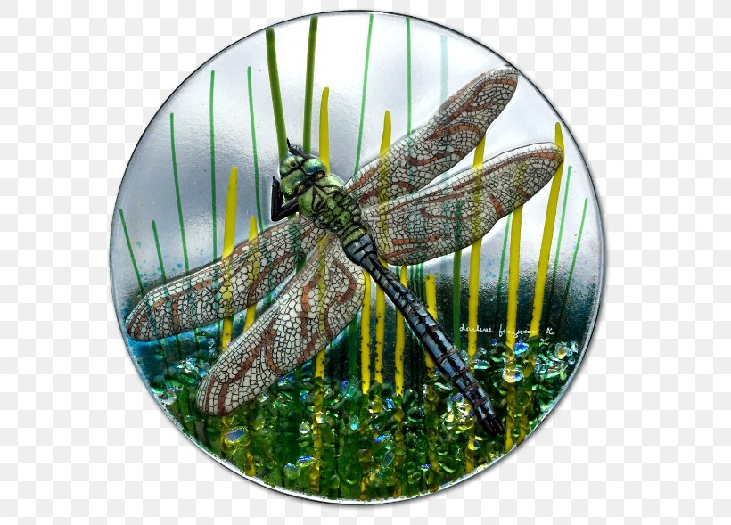 Fused Glass Insect Dragonfly Kiln, PNG, 600x589px, Fused Glass, Bowl, Dragonflies And Damseflies, Dragonfly, Fauna Download Free