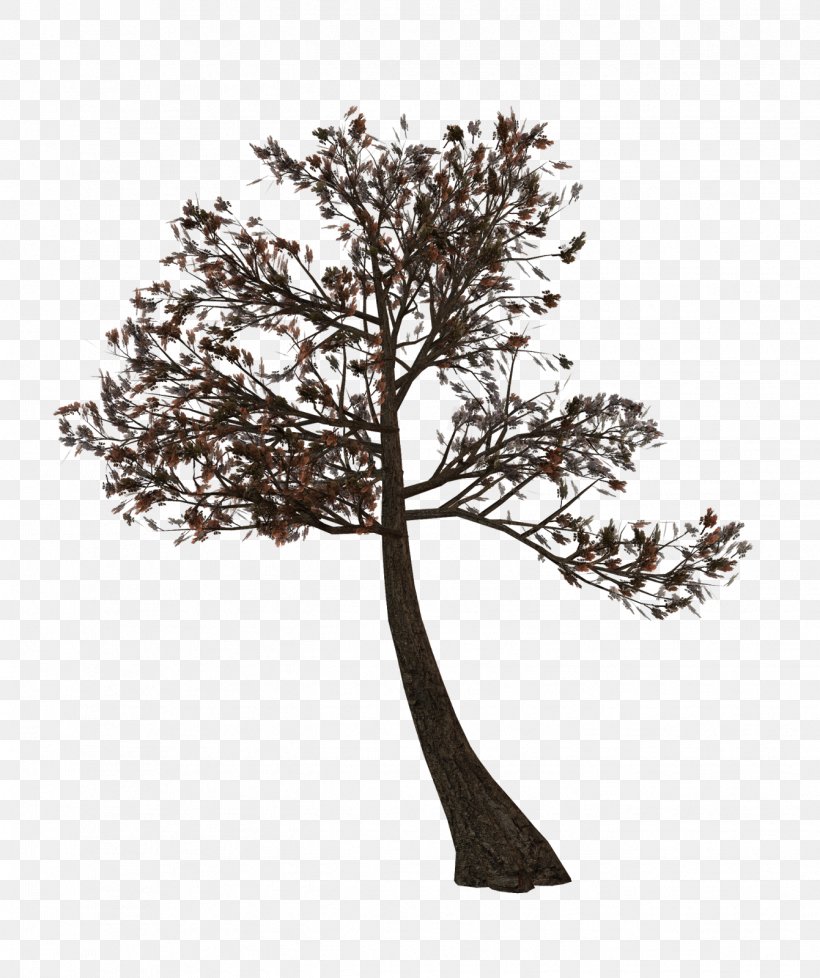 Twig Tree Albom Clip Art, PNG, 1341x1600px, 3d Computer Graphics, Twig, Albom, Branch, Collage Download Free