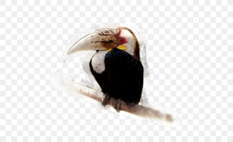 Beak Tropical Rainforest Tropics Bird Stock Photography, PNG, 500x500px, Beak, Animal, Bird, Episode 11, Hornbill Download Free