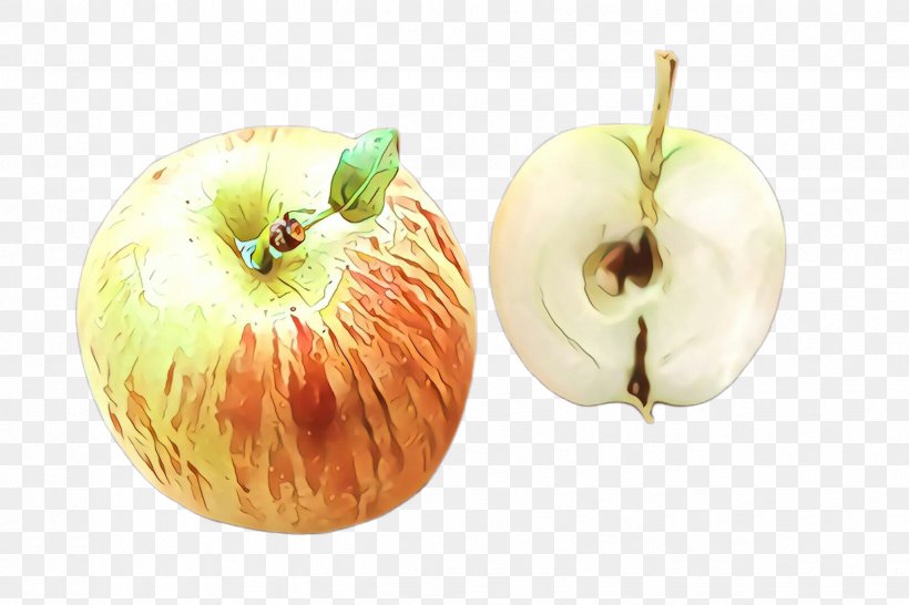 Natural Foods Fruit Food Apple Plant, PNG, 2448x1632px, Cartoon, Apple, Flowering Plant, Food, Fruit Download Free