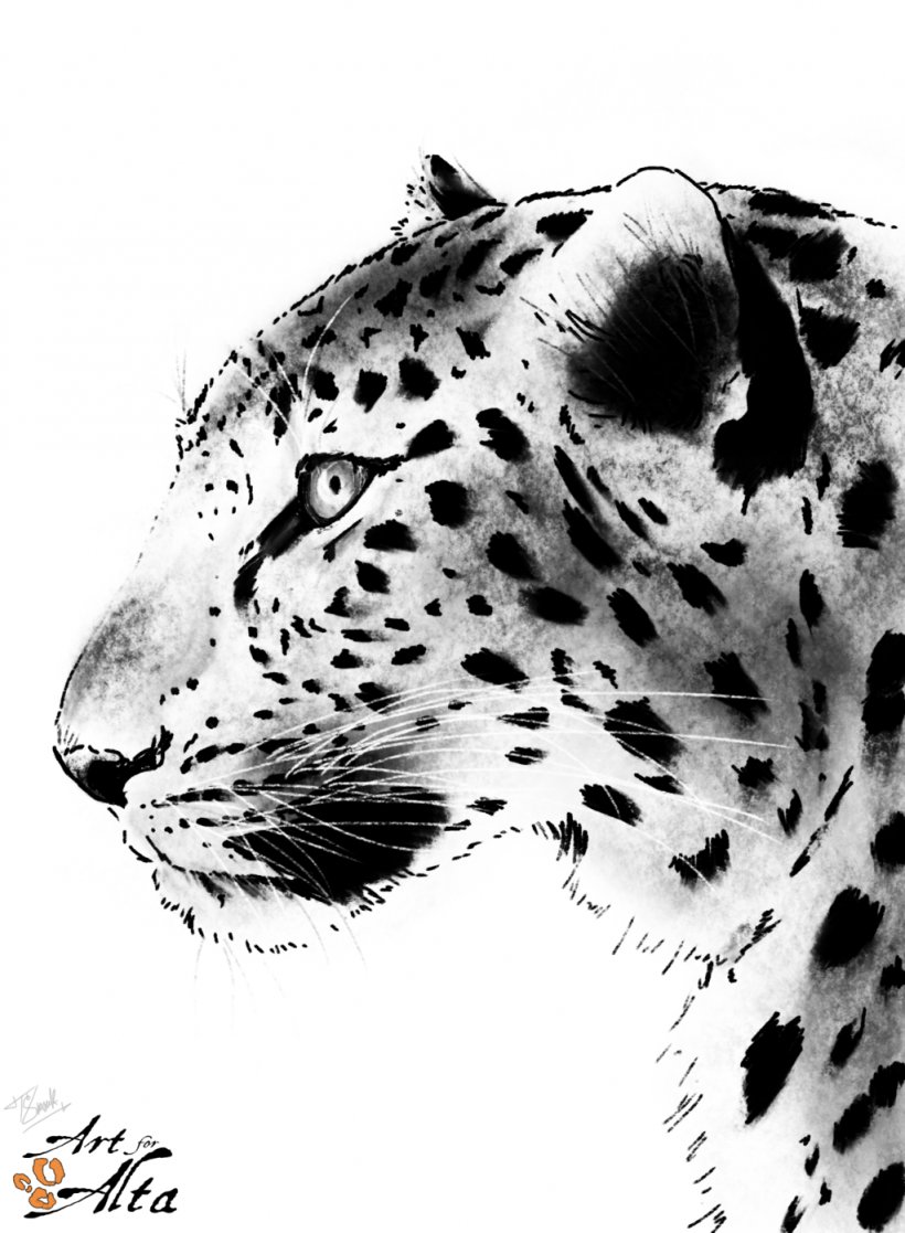Tiger Amur Leopard Snow Leopard Amur River Cheetah, PNG, 1024x1396px, Tiger, Amur Leopard, Amur River, Big Cats, Black And White Download Free