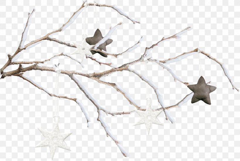 Twig Snowflake Branch, PNG, 2005x1344px, Watercolor, Cartoon, Flower, Frame, Heart Download Free