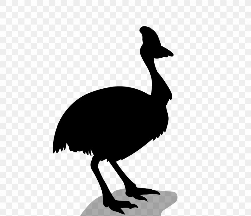 Common Ostrich Bird Emu Sticker Goose, PNG, 1778x1528px, Common Ostrich, Beak, Bird, Cassowary, Cranelike Bird Download Free