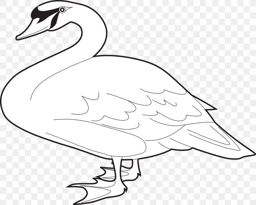 Domestic Goose Cygnini Bird Clip Art, PNG, 1280x1027px, Goose, Area, Artwork, Barnacle Goose, Beak Download Free