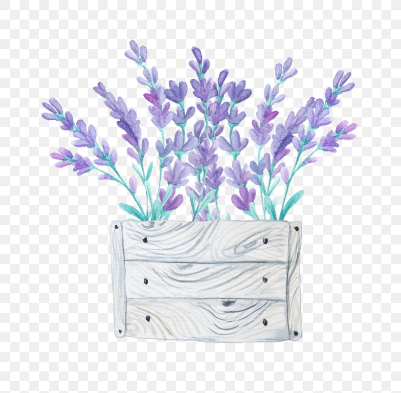 Flower Image Stock Illustration Floral Design, PNG, 804x804px, Flower, Curtain, Delphinium, Drawing, English Lavender Download Free