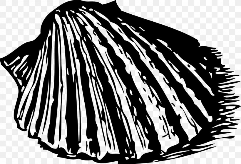 Seashell Drawing Clip Art, PNG, 1000x683px, Seashell, Art, Black, Black And White, Conch Download Free