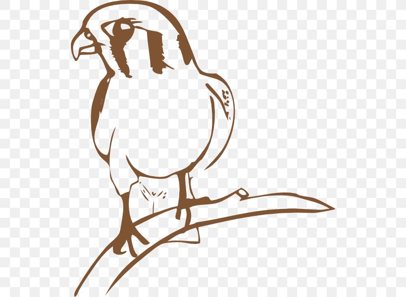 Bird August Acrobat Clip Art, PNG, 534x600px, Bird, Animal, Art, Artwork, Beak Download Free