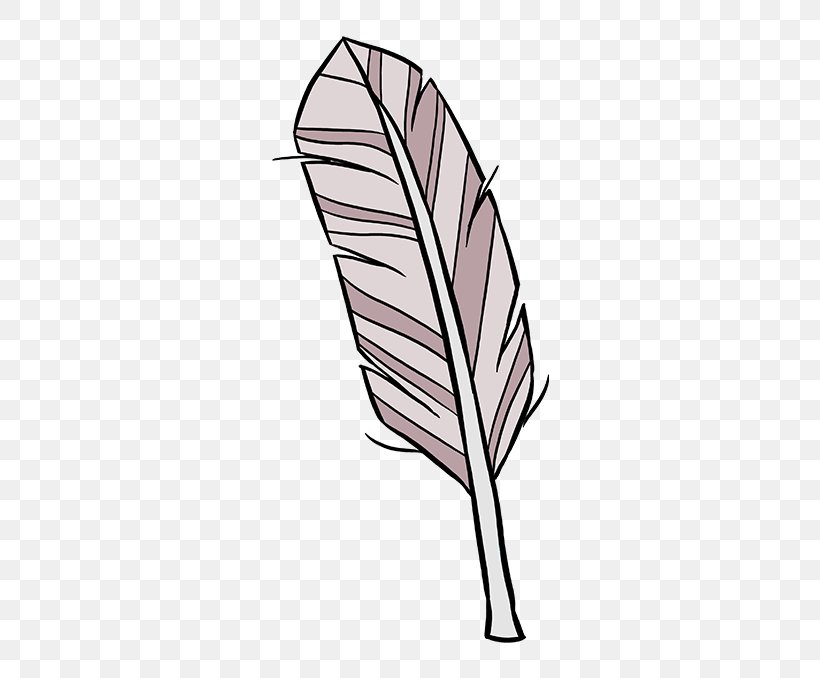 Drawing Image Quill Feather Line Art, PNG, 680x678px, Drawing, Cartoon,  Colored Pencil, Feather, Leaf Download Free