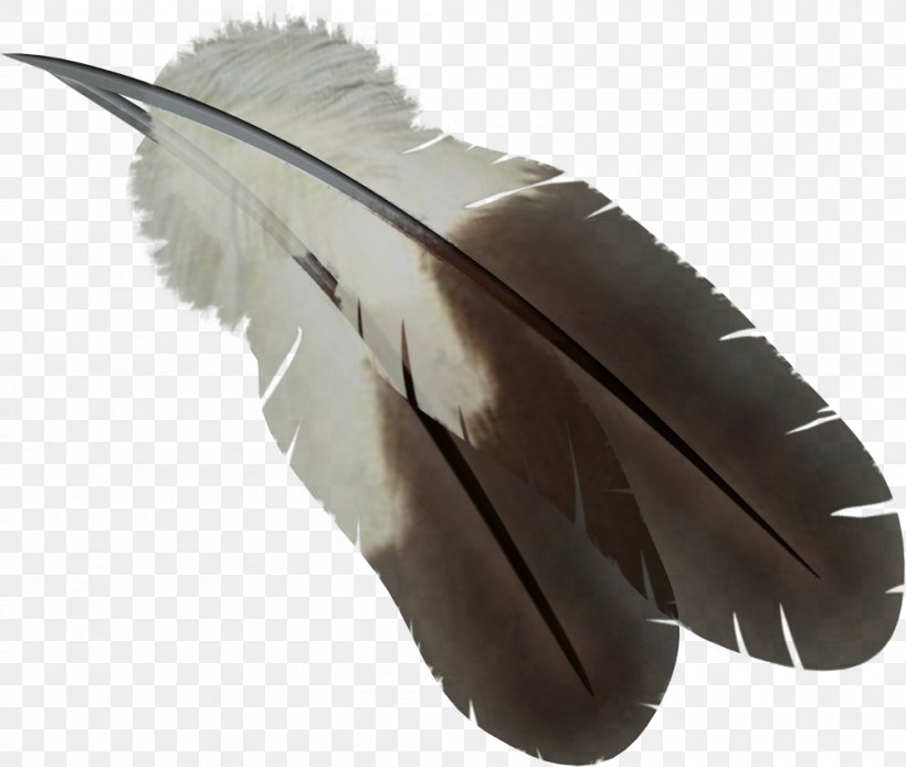 Feathers, PNG, 1000x847px, Feather, Digital Image, Image File Formats, Internet Media Type, Mime Download Free