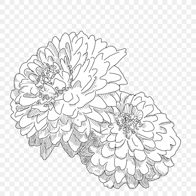 Roman Chamomile Petal Cut Flowers Canopy Doily, PNG, 900x900px, Roman Chamomile, Apple, Asset, Black And White, Canopy Download Free