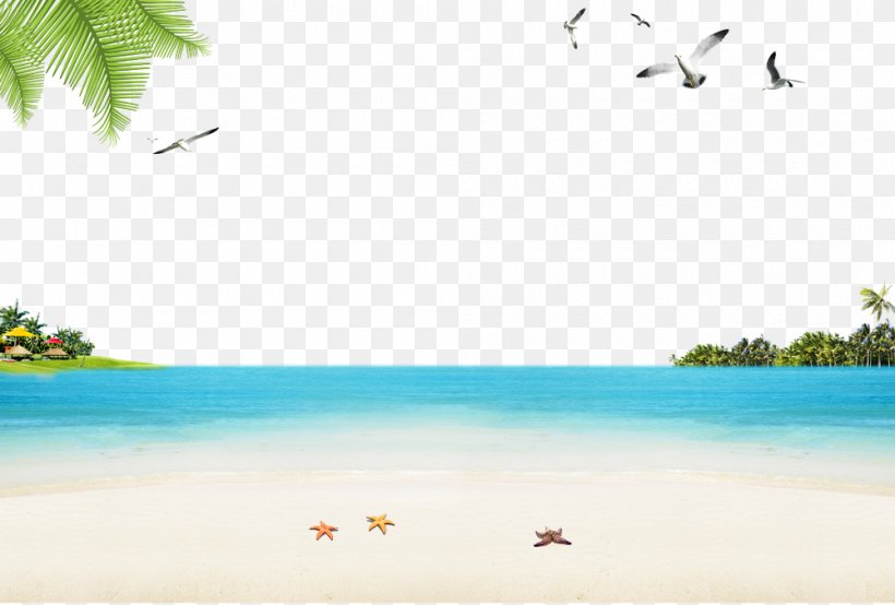 Sandy Beach Ocean Beach, PNG, 1000x676px, Sandy Beach, Area, Beach, Computer, Ocean Beach Download Free