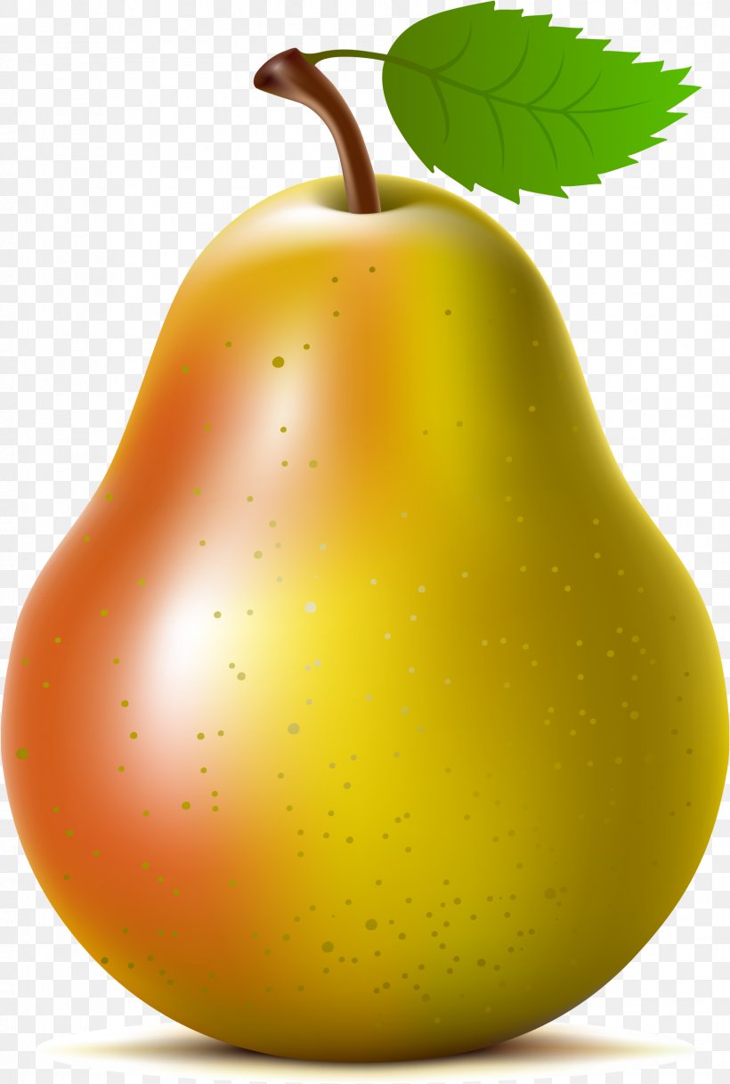 Asian Pear Fruit Clip Art, PNG, 1674x2486px, Asian Pear, Apple, Diet Food, Drawing, Food Download Free