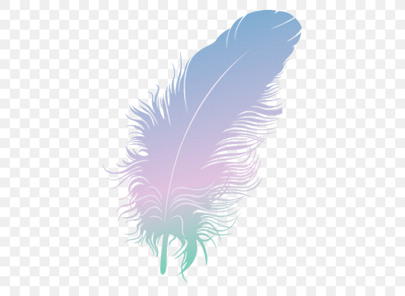 Feather, PNG, 800x600px, Feather, Computer, M, Purple Download Free