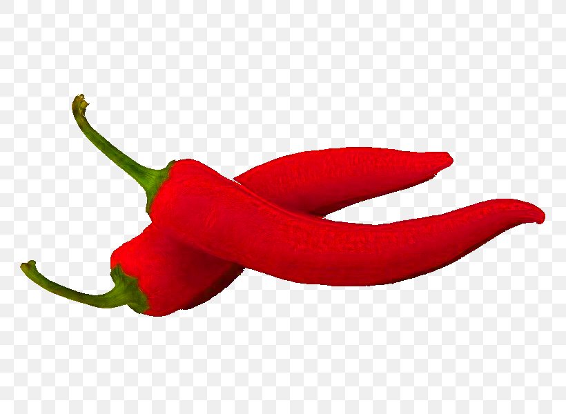 Habanero Bird's Eye Chili Tabasco Pepper Serrano Pepper Cayenne Pepper, PNG, 800x600px, Habanero, Bell Peppers And Chili Peppers, Capsicum, Capsicum Annuum, Cayenne Pepper Download Free