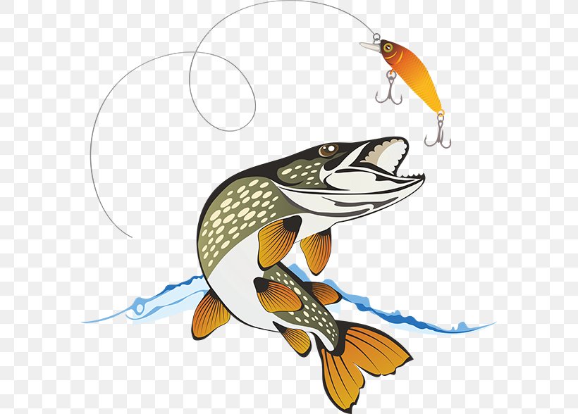 Northern Pike Fishing Stock Photography, PNG, 591x588px, Northern Pike, Angling, Bass Fishing, Beak, Cartoon Download Free