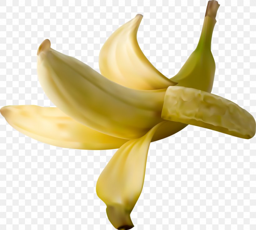Banana Leaf Drawing, PNG, 1717x1546px, Banana, Banana Chip, Banana Family, Banana Leaf, Banana Peel Download Free