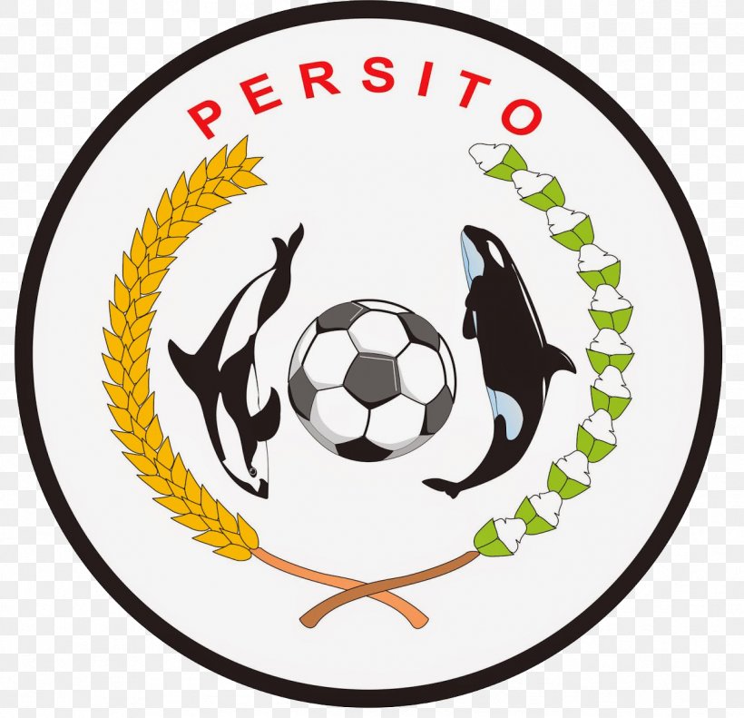 Toli-Toli Regency Persito Tolitoli Persipal Palu Poso F.C. Maleo, PNG, 1299x1254px, Liga 4, Area, Ball, Brand, Central Sulawesi Download Free