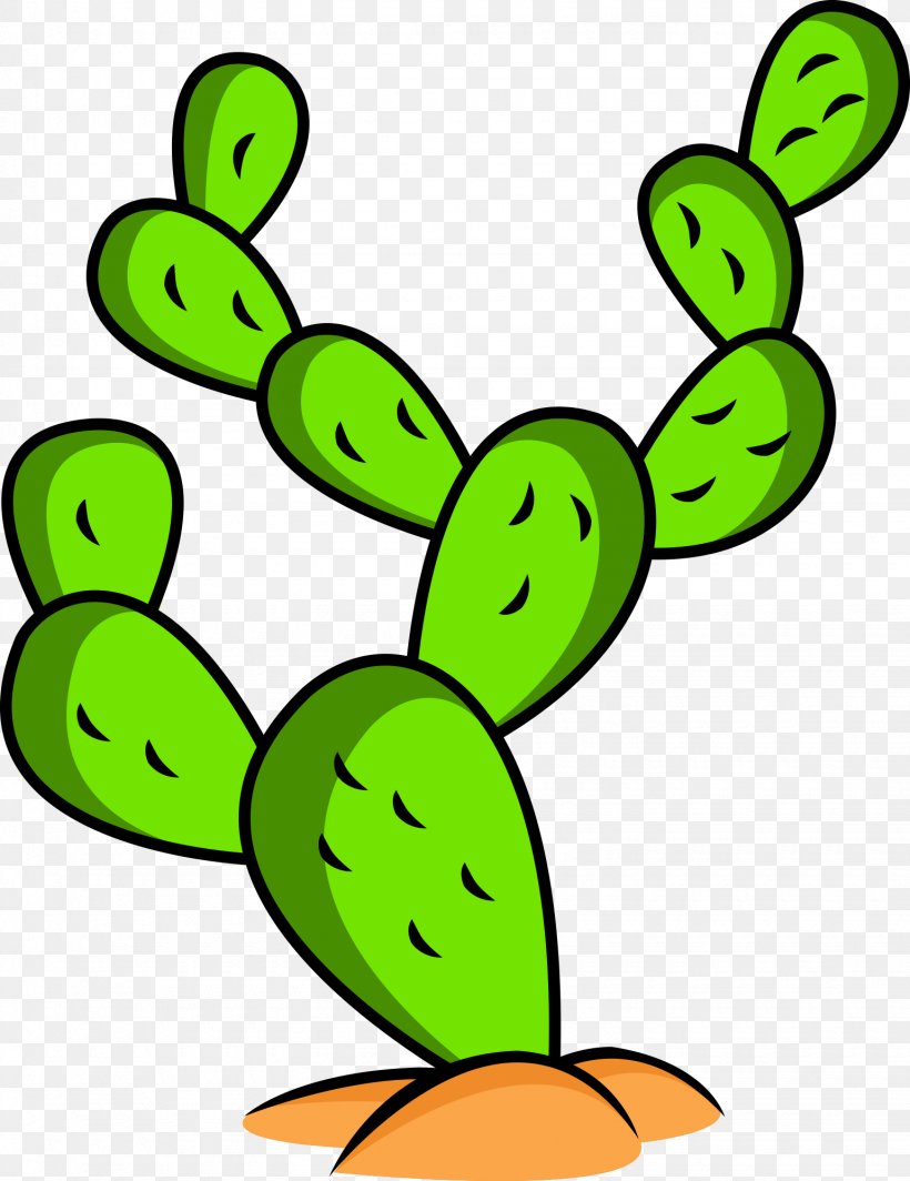 Cactus Drawing Vector Graphics Illustration Succulent Plant, PNG, 1540x2000px, Cactus, Amphibian, Area, Artwork, Barbary Fig Download Free