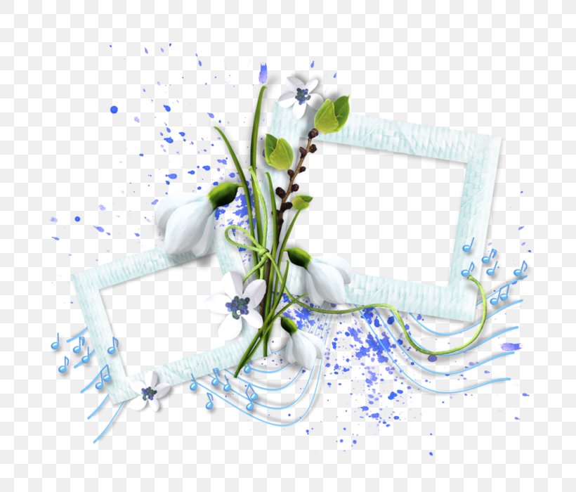 Picture Frames Cuadro Image Film Frame, PNG, 700x700px, Picture Frames, Collage Photo Frame, Collage Picture Frame, Cuadro, Cut Flowers Download Free