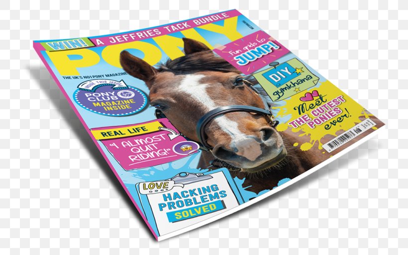 PONY Magazine Equestrian Canadian Horse, PNG, 767x514px, Pony, Advertising, Canada, Canadian Horse, Equestrian Download Free