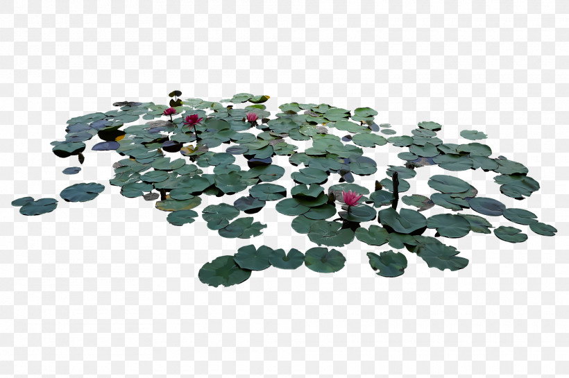 Sacred Lotus Tree Lotus Root Ornamental Plant Bonsai, PNG, 1920x1278px, Sacred Lotus, Blog, Bonsai, Django, Empathy Download Free