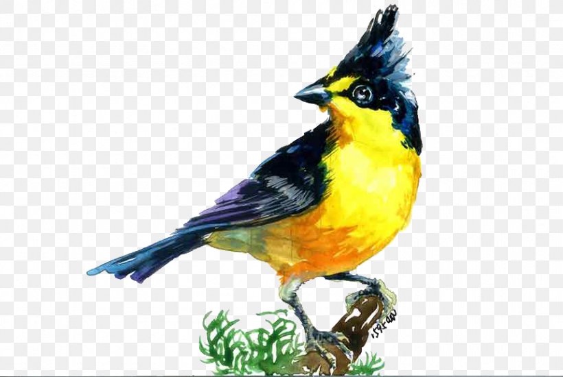Bird Migration, PNG, 859x577px, Bird, Beak, Bird Migration, Fauna, Feather Download Free