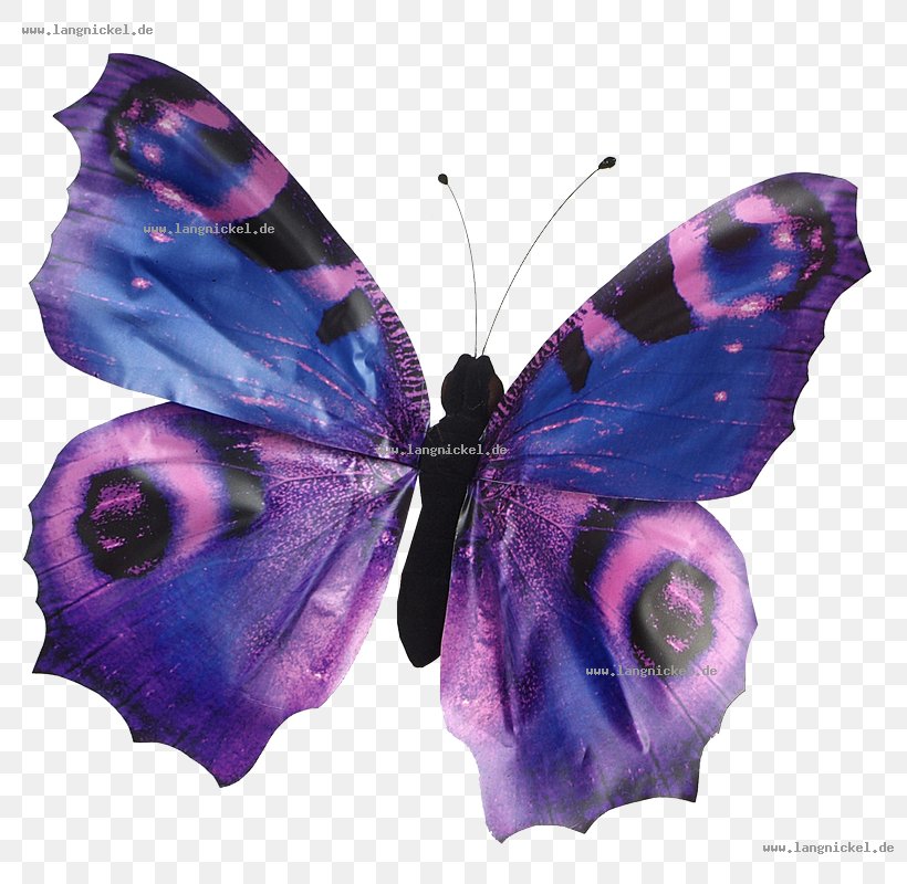 Butterfly Animal Bird Leporids Easter Bunny, PNG, 800x800px, Butterfly, Animal, Bird, Brush Footed Butterfly, Butterflies And Moths Download Free