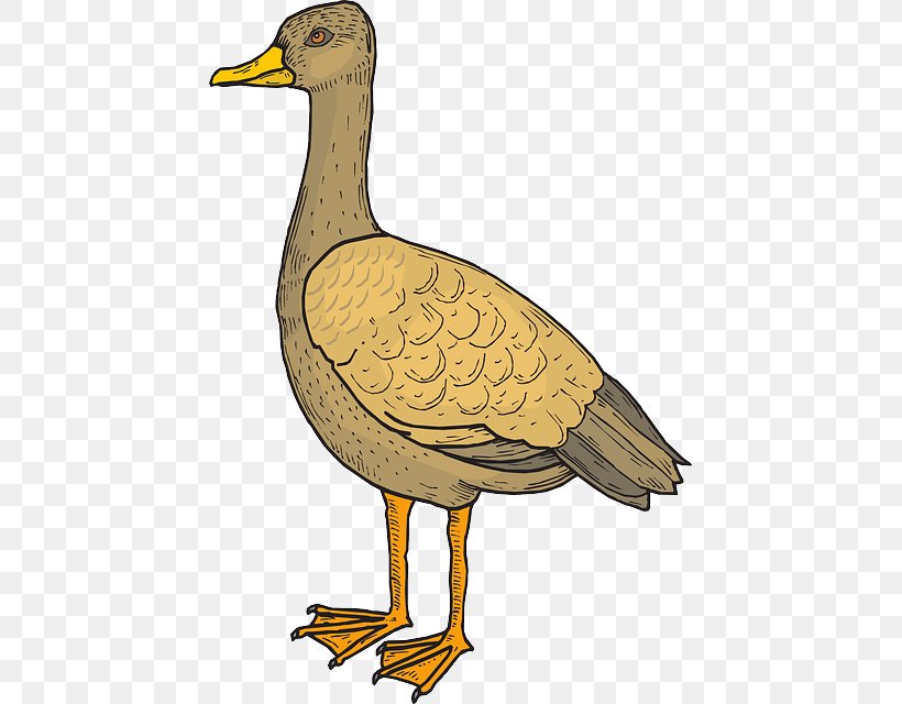 Duck Goose Bird Beak Cygnini, PNG, 439x640px, Duck, Beak, Bird, Cygnini, Ducks Geese And Swans Download Free