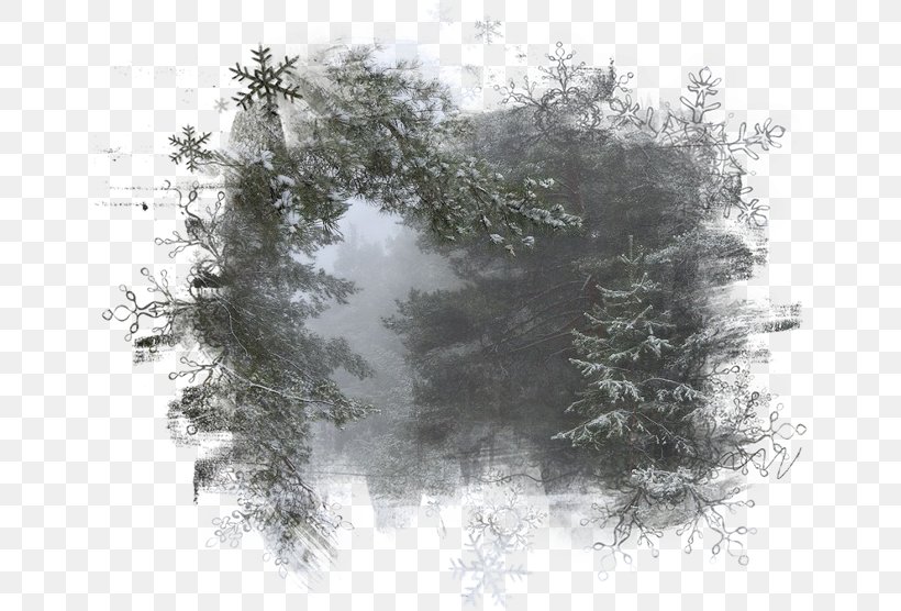 Mask Clip Art, PNG, 650x556px, Mask, Black And White, Branch, Conifer, Evergreen Download Free