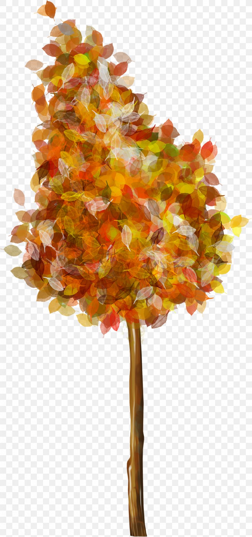 Picture Frames, PNG, 1022x2177px, Picture Frames, Autumn, Leaf, Maple Tree, Orange Download Free
