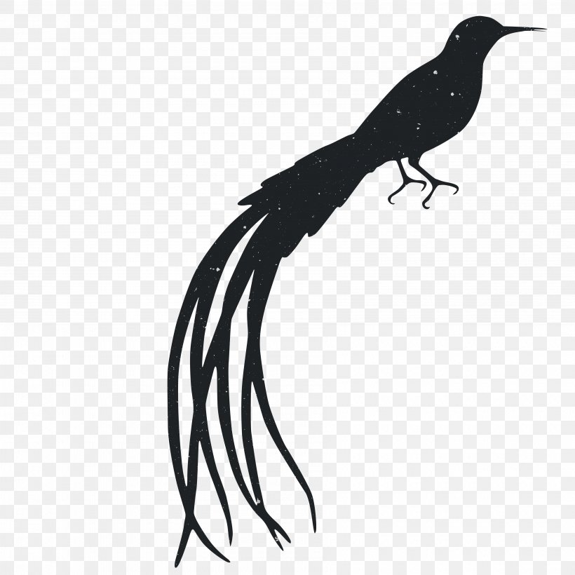 Silhouette Animal Computer File, PNG, 3600x3600px, Silhouette, Animal, Beak, Bird, Black And White Download Free