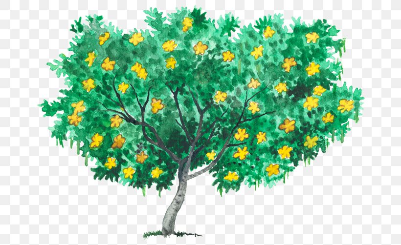 Tree Retama Branch Shrub Plant Stem, PNG, 750x502px, Tree, Branch, Crown, Flower, Flowering Plant Download Free